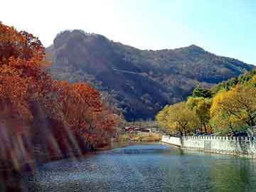 新澳天天开奖资料大全旅游团，道奇酷威论坛